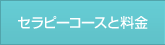 セラピーコースと料金